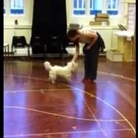 THE WIZARD OF OZ Blog: Danielle Rehearses with Toto Video